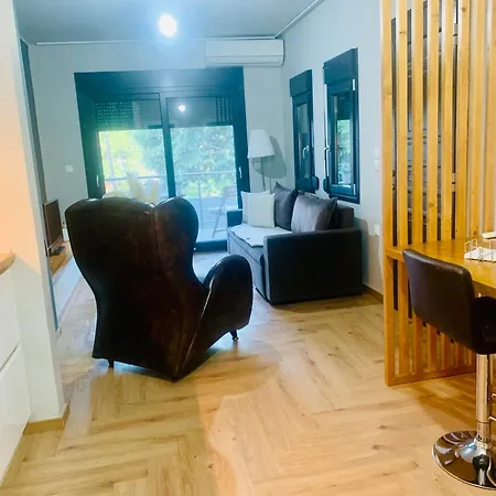 βασιλική Apartment Elassona